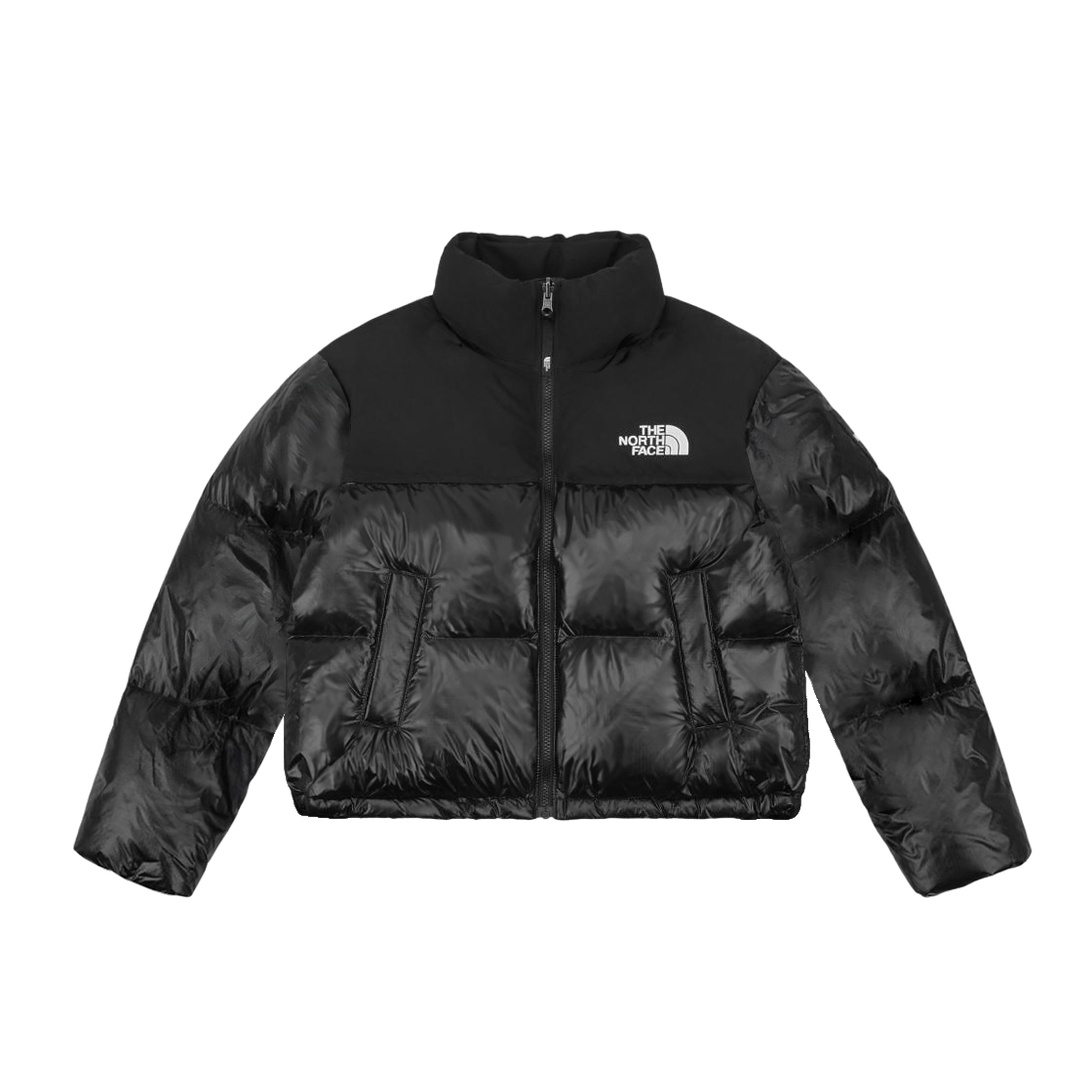 W) The North Face Novelty Nuptse Down Jacket SP Black | eBay